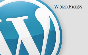 دوره آموزش ورد پرس ایز ایران ونک