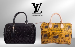 دو مدل کیف Speedy-LouisVuitton