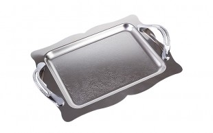 سینی استیل پذیرایی AYRAL