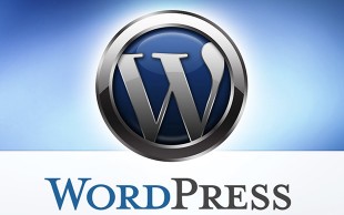 دوره آموزشی wordpress گروه طراحی محسن دیزاین