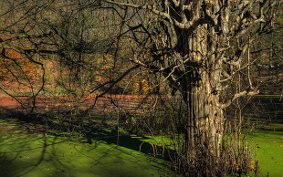 تورهای یک روزه آژانس مسافرتی همسفر پرواز