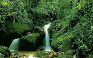 چهار تور مسافرتی یکروزه