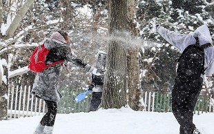 تورهای یک روزه آژانس مسافرتی مهام