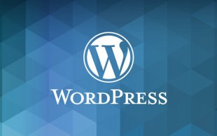 آموزش وردپرس در آکادمی علوم تخصصی 
