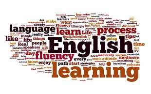 آموزش زبان در black bird