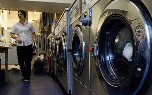 خشکشویی چوبک