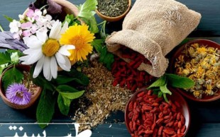 همایش طب سنتی نوآوران دانش