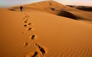 تور کویر مصر همسفران سینا