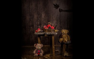 آتلیه عکاسی آرسی گالری