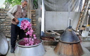 تور یک روزه کاشان آژانس شال و کلاه سفر