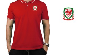 پولوشرت مردانه IRELAND