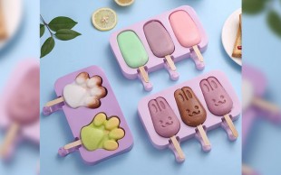 قالب سیلیکونی بستنی