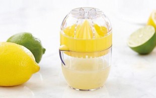 مینی آبمیوه گیری Bird