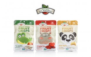 چیپس میوه Brothers All Natural