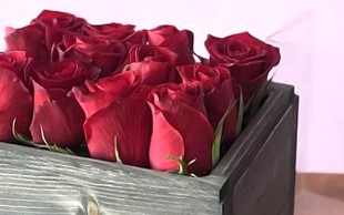 گل فروشی رز سفید