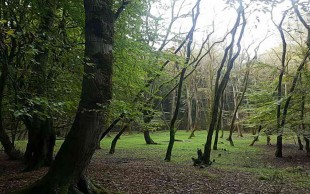 تور جنگل جوارم با رامین گشت ابرسام