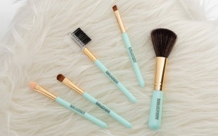 براش آرایشی 5 تکه