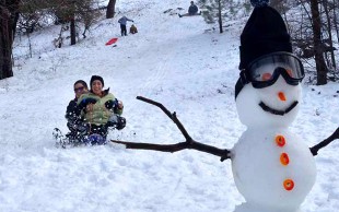 تورهای یک روزه آژانس مسافرتی همسفر پرواز