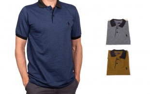 پولوشرت مردانه طرح Polo مدل 22824