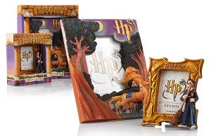 قاب عکس Harry Potter