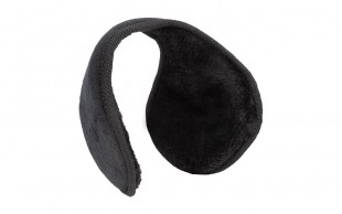 گوش گیر زمستانی