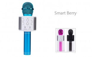 میکروفون اسپیکردار Smart berry