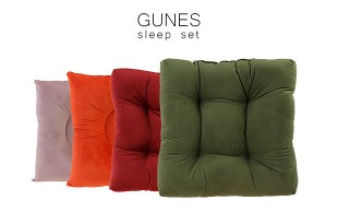 زیر نشیمنی GUNES