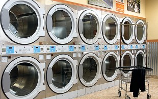 خشکشویی چوبک