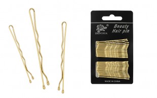 سنجاق سر Shenghua