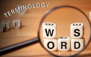 واژه شناسی در موسسه حرف اول آریا