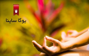 آموزش یوگا