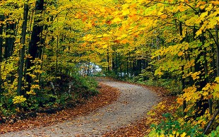 تور یک روزه سی سنگان با بیتا گشت