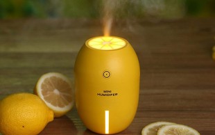 دستگاه بخور سرد Lemon Humidifier
