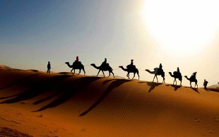 تور کویر مصر