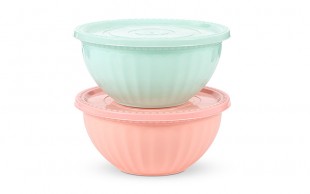 کاسه درب دار P2SPlast