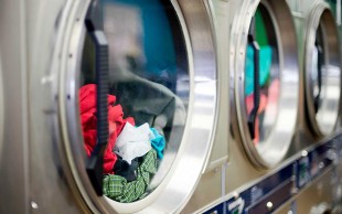 خشکشویی چوبک