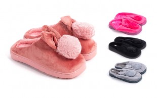 اسلیپر پولیشی فانتزی