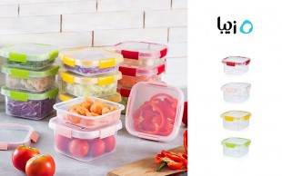 ظرف نگهدارنده Ziba