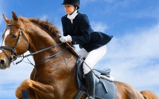 تور یک روزه آموزش حرفه ای سوارکاری