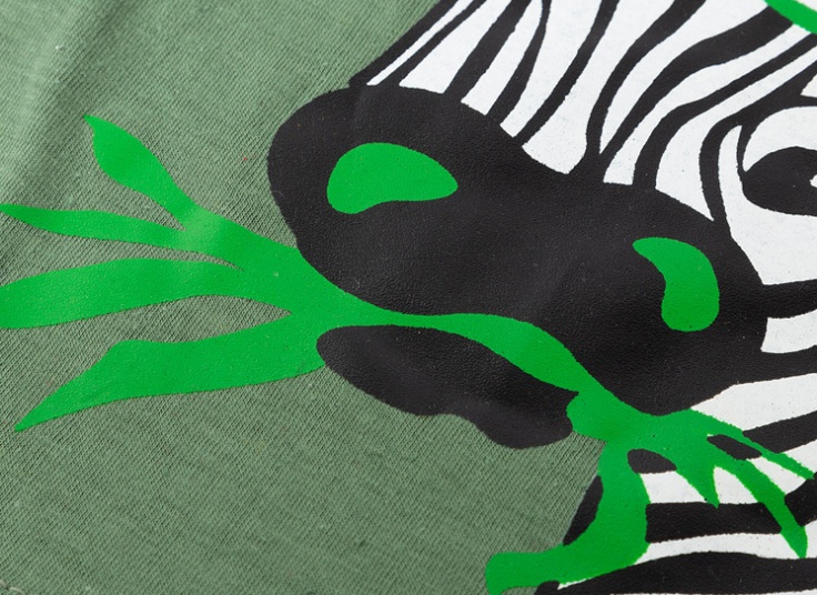 ست تیشرت شلوارک پسرانه Zebra