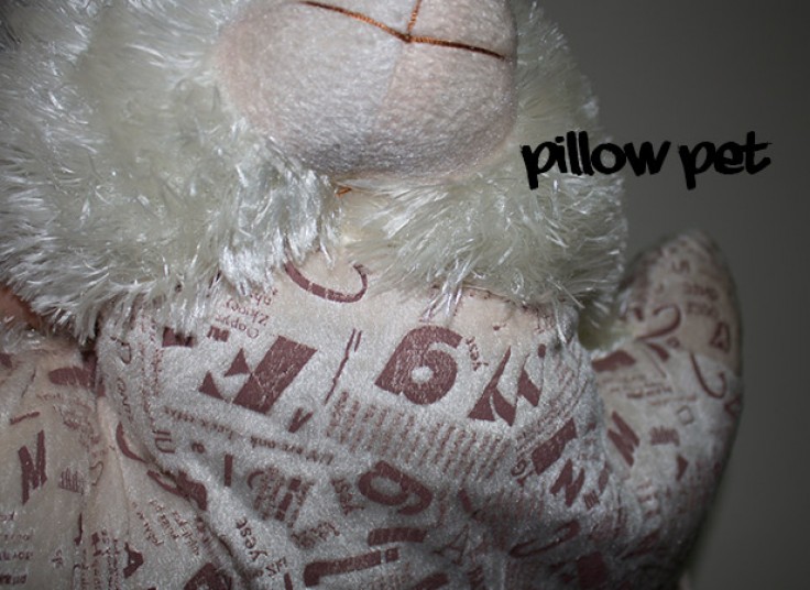 سری جدید بالشت PillowPet