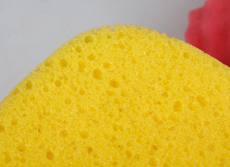 اسفنج حمام amas