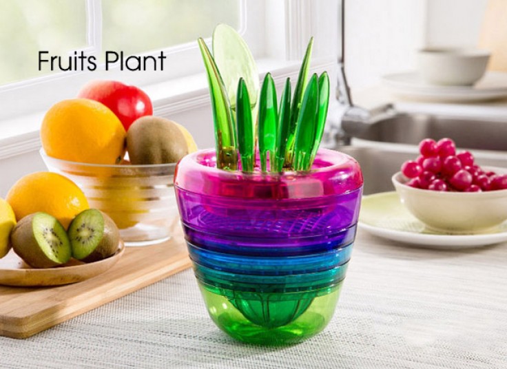 گلدان جادویی Fruits Plant