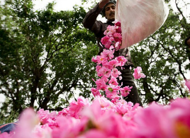 تورهای یک روزه آژانس مسافرتی همسفر پرواز