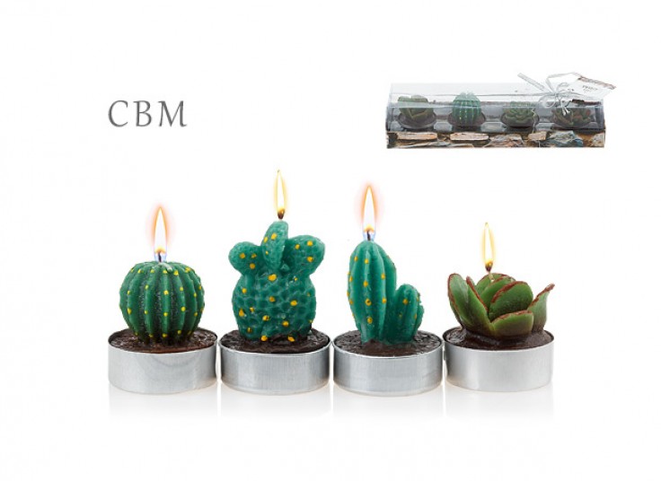 شمع تزئینی طرح کاکتوس