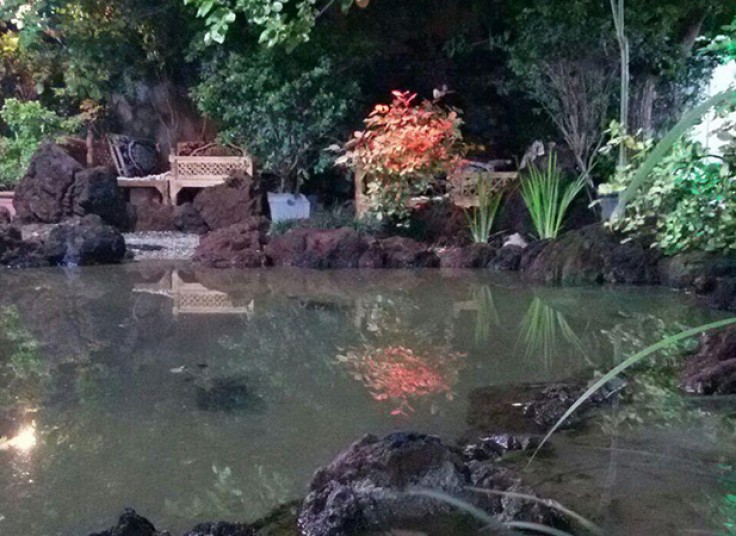 رستوران برکه