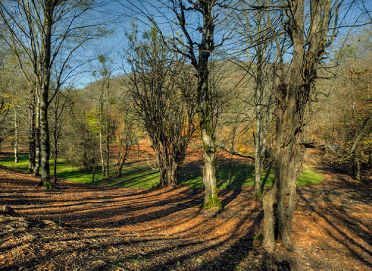 تورهای آژانس مسافرتی مهام