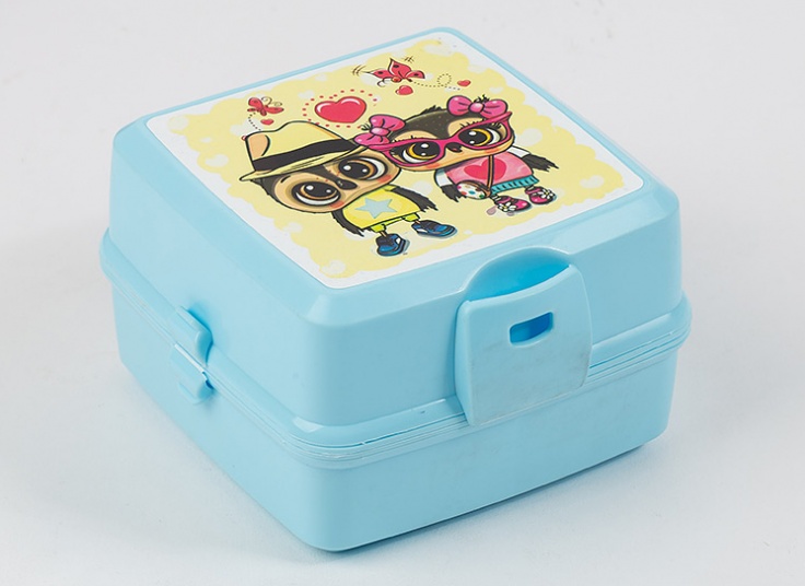 ظرف غذای طرحدار