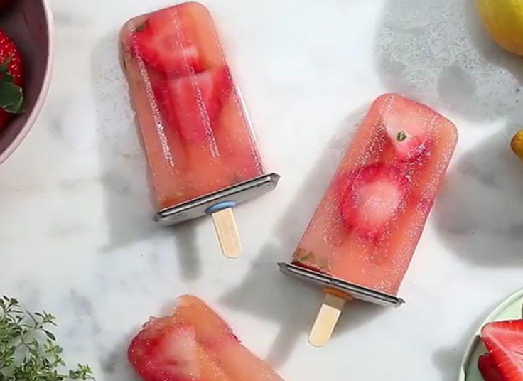 جشنواره گیاهان دارویی در گیاه دانه