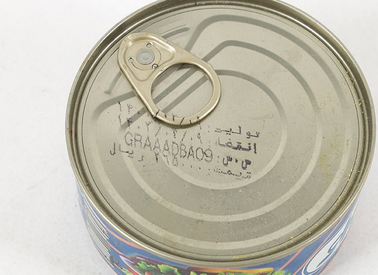 کنسرو ماهی تن گراتیس